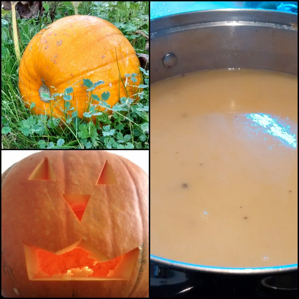 Pumpkin, Soup, Jack-o-Lantern